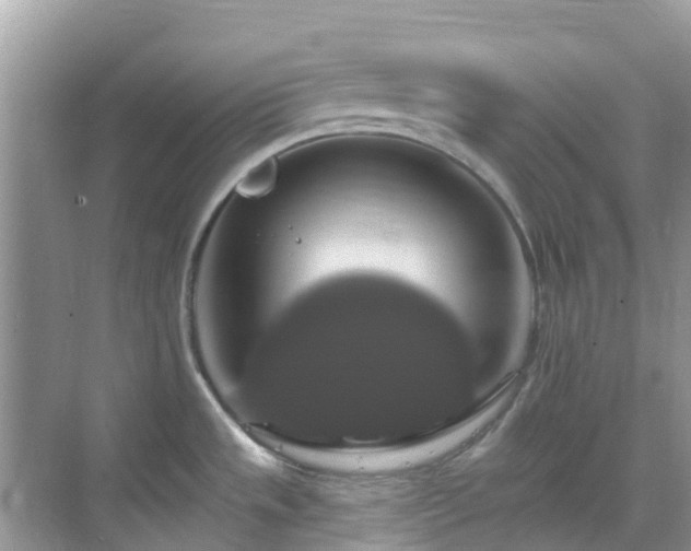 X0000068841533200605081226