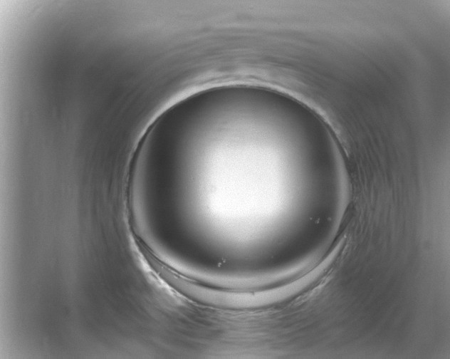 X0000068841534200605081226