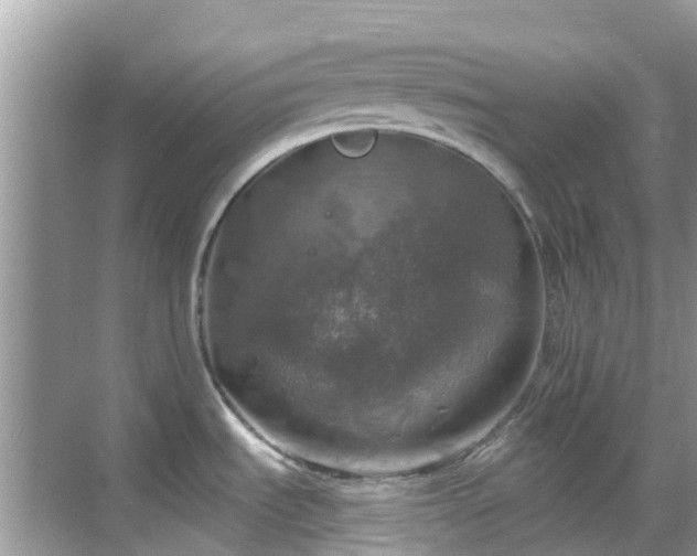 X0000068841535200605081226