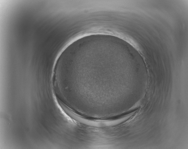 X0000068841536200605081226