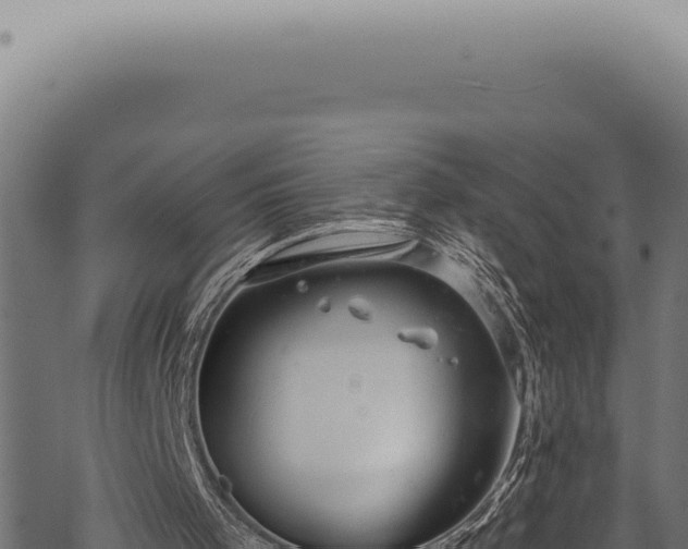 X0000068840001200605121418