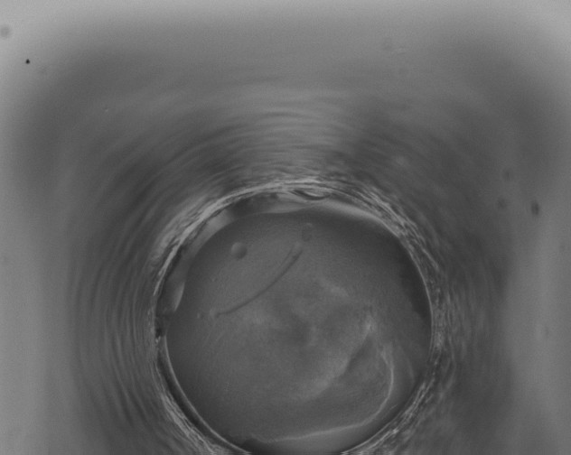 X0000068840002200605121418