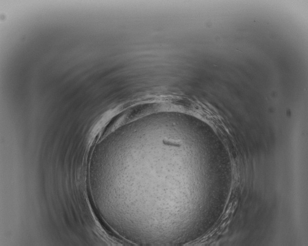 X0000068840003200605121418