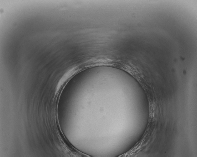 X0000068840004200605121418