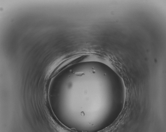 X0000068840005200605121418