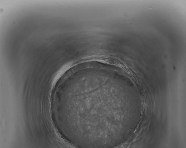 X0000068840006200605121418