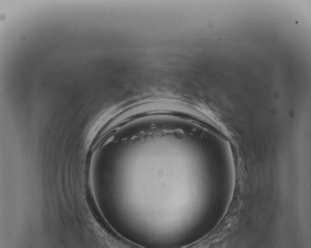 X0000068840007200605121418