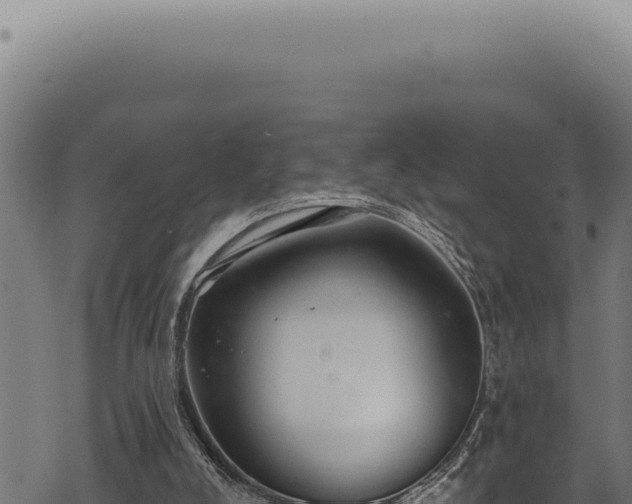 X0000068840008200605121418