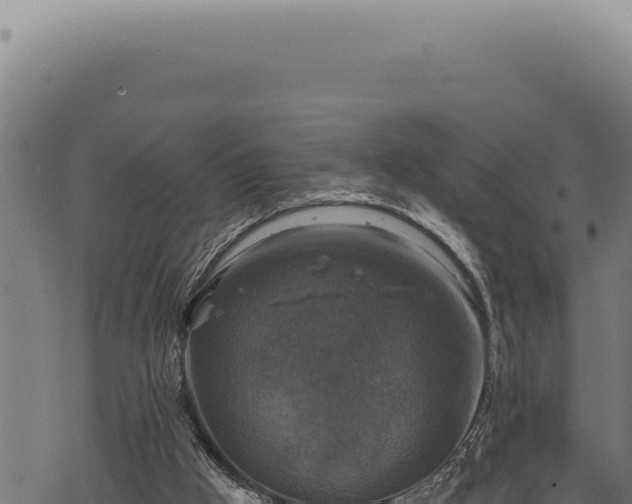 X0000068840009200605121418