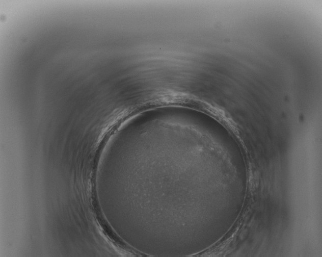 X0000068840010200605121418