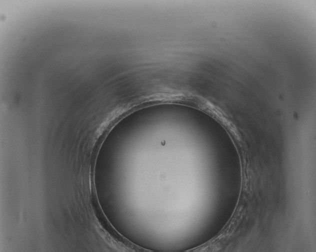 X0000068840011200605121418