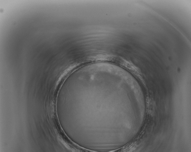 X0000068840012200605121418