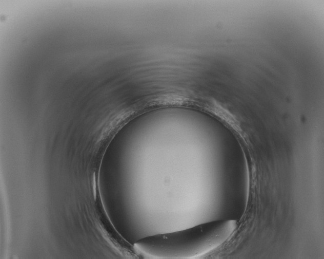 X0000068840013200605121418