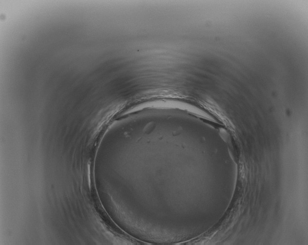 X0000068840014200605121418