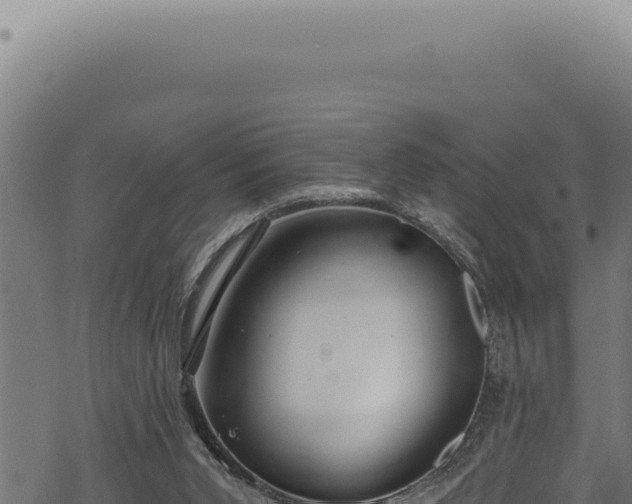 X0000068840015200605121418