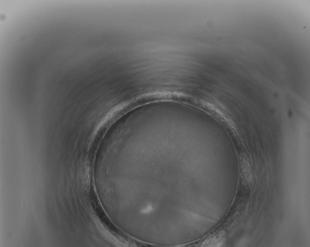 X0000068840016200605121418