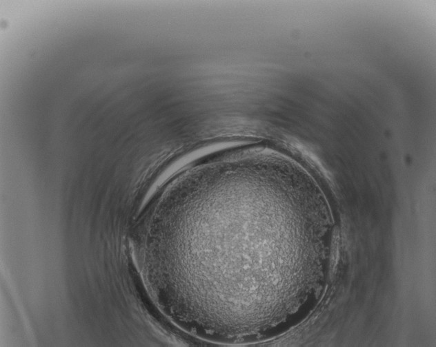 X0000068840017200605121418