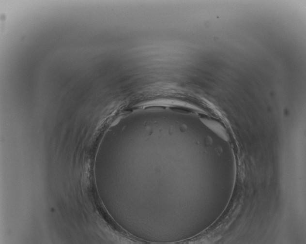 X0000068840018200605121418