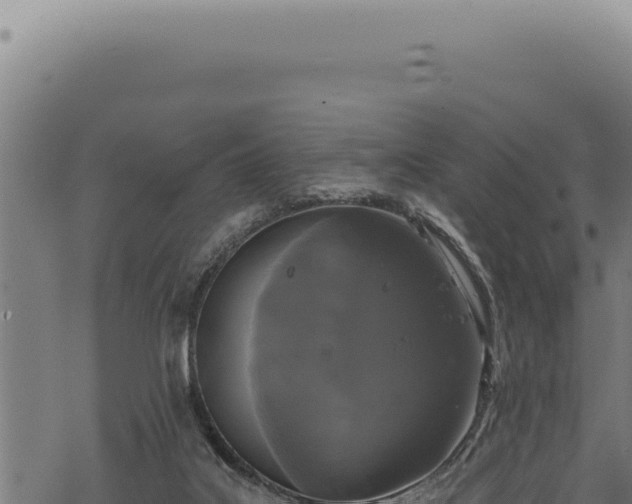 X0000068840019200605121418