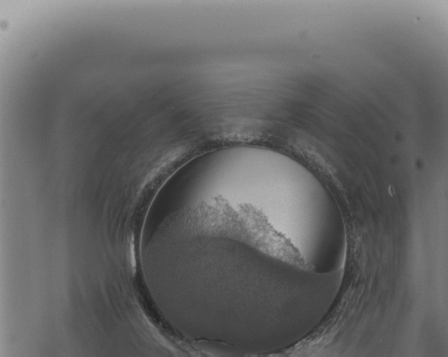 X0000068840020200605121418