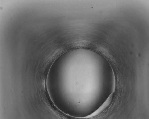 X0000068840021200605121418