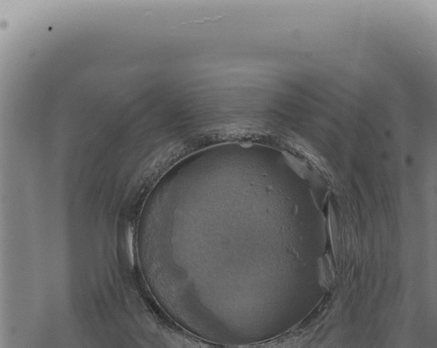 X0000068840022200605121418