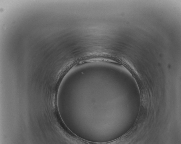 X0000068840023200605121418