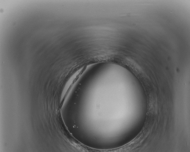 X0000068840025200605121418