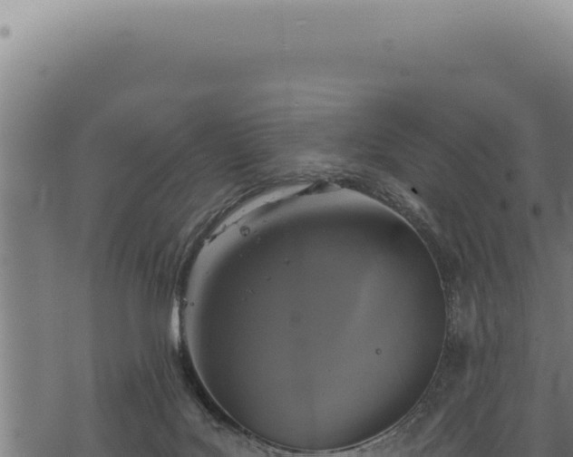 X0000068840027200605121418