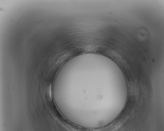 X0000068840028200605121418