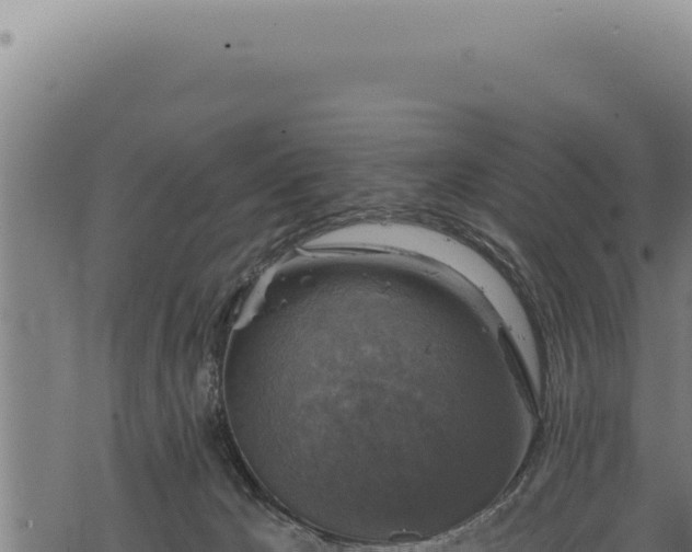 X0000068840029200605121418