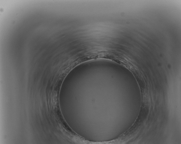 X0000068840030200605121418