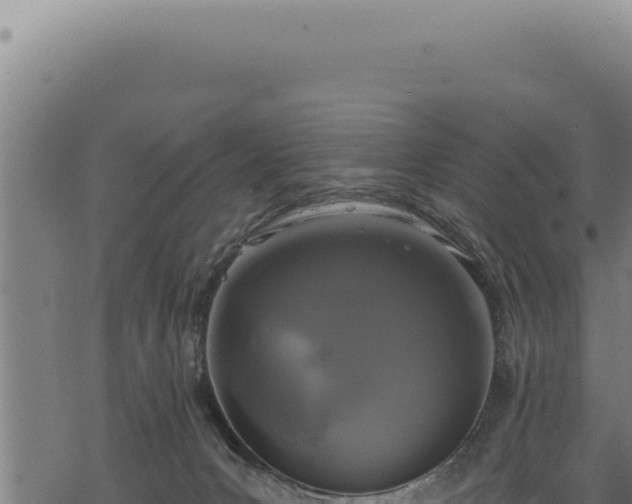 X0000068840031200605121418