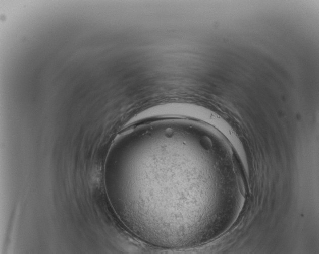 X0000068840033200605121418