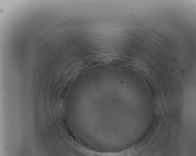 X0000068840034200605121418