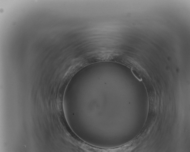 X0000068840035200605121418