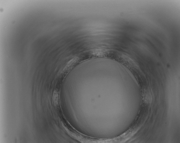 X0000068840036200605121418