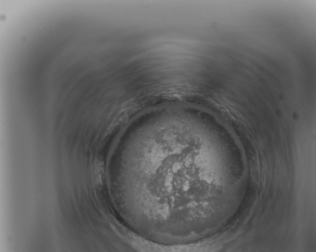 X0000068840038200605121418