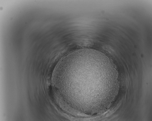 X0000068840040200605121418