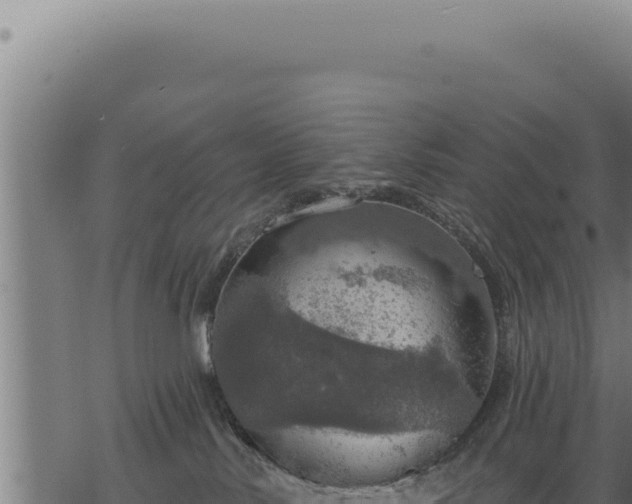 X0000068840042200605121418