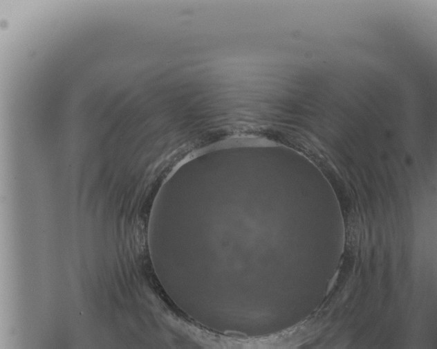 X0000068840043200605121418