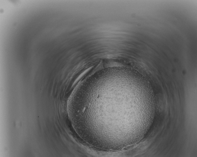 X0000068840044200605121418