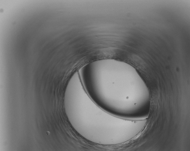 X0000068840045200605121417