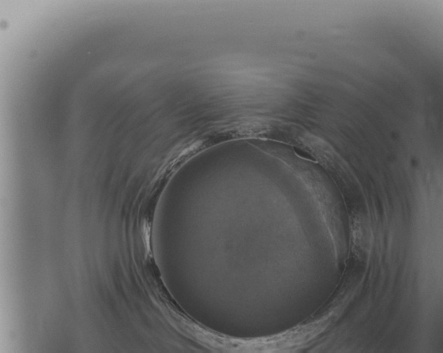 X0000068840046200605121417