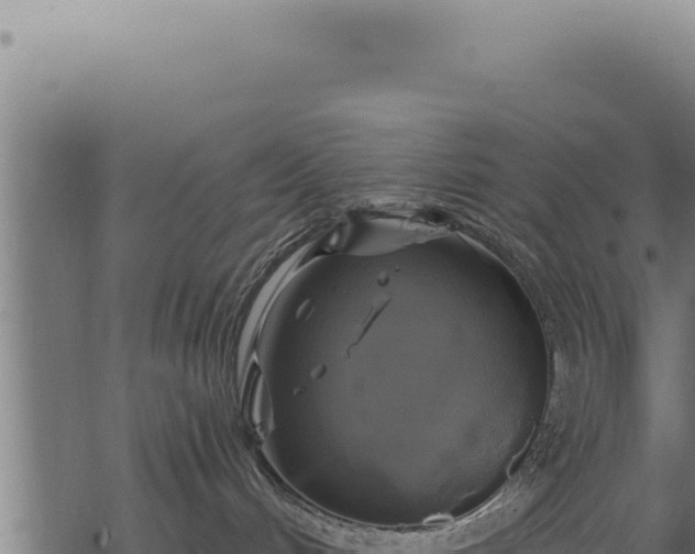 X0000068840048200605121417