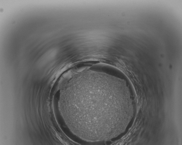 X0000068840050200605121417