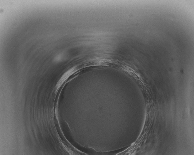 X0000068840051200605121417