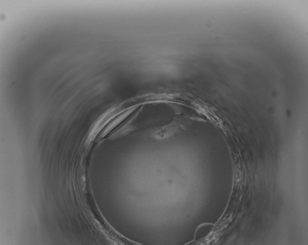 X0000068840053200605121417