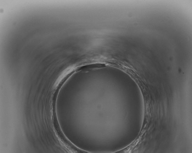 X0000068840054200605121417