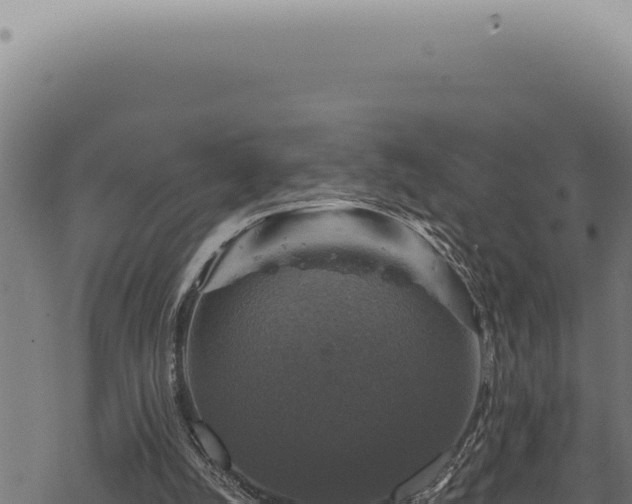 X0000068840056200605121417